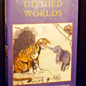 * Fine Copy * Divided Worlds Studies in Children's Literature 1st Edition 2007