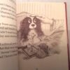 Maureen Melvin Paws Again 1st Ed ** SIGNED COPY ** - Image 4
