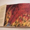 * Signed Copy * Peter Carey Parrot and Olivier In America 1st Ed - Image 5