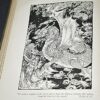 * Rare * Countess of Jersey Maurice or The Red Jar 1st Edn 1894 - Image 9