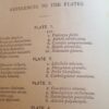 * Rare * Rev W Houghton Sketches of British Insects (Entomology) 1st Edn 1875 - Image 13