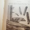 * Rare * Rev W Houghton Sketches of British Insects (Entomology) 1st Edn 1875 - Image 16