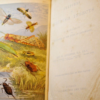 * Rare * Rev W Houghton Sketches of British Insects (Entomology) 1st Edn 1875 - Image 4