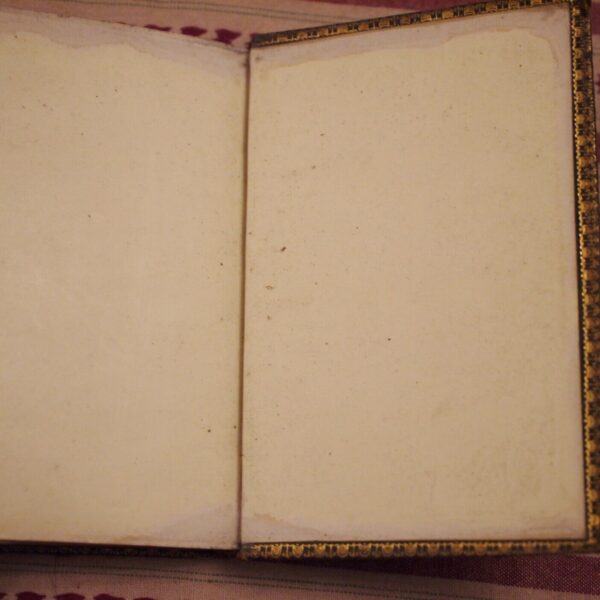 * Rare * The Langham Hotel Guide To London 1867 in Full Leather Binding - Image 18