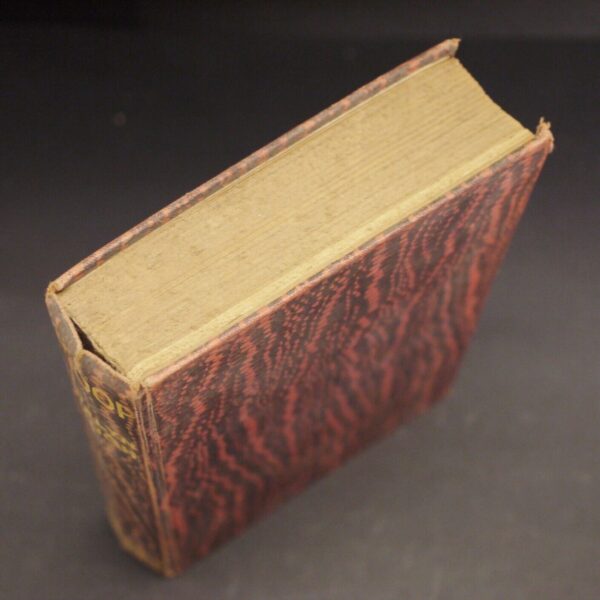 Evelyn Waugh Scoop Ex Library Copy First UK Edition 1938 - Image 11