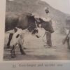 Unwin & Storr Two Young Men See The World First Ed in D/J 1934 - Image 6