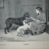General E Booth (Sal Army) Love is All in D/J 1935 - Image 5