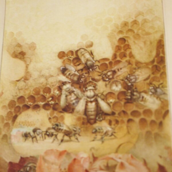 Maeterlinck The Life of the Bee (illustrated by Edward Detmold) 1911 - Image 11