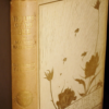 Maeterlinck The Life of the Bee (illustrated by Edward Detmold) 1911 - Image 3