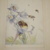 Maeterlinck The Life of the Bee (illustrated by Edward Detmold) 1911 - Image 4