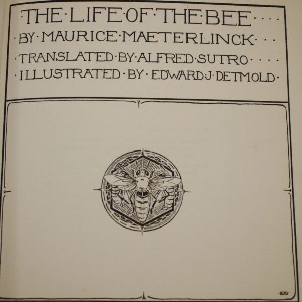 Maeterlinck The Life of the Bee (illustrated by Edward Detmold) 1911 - Image 5