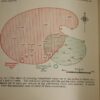 RCS Walters The Nations's Water Supply First Edition 1928 - Image 20