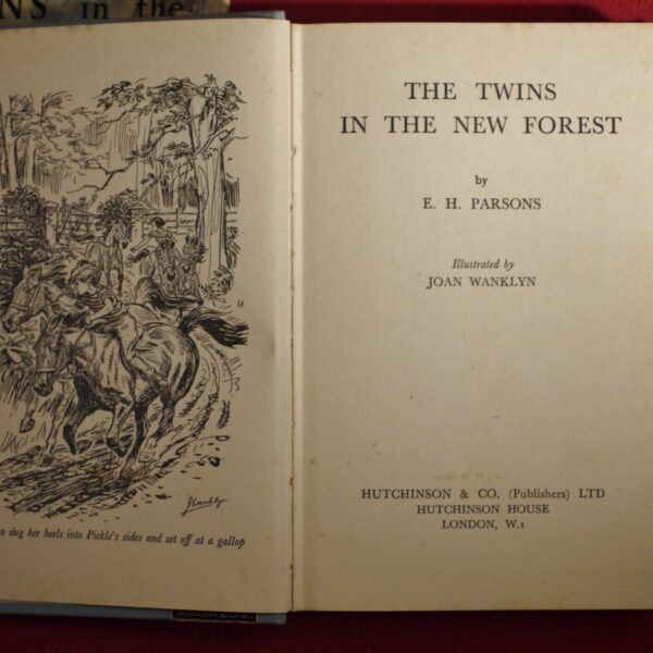 ** Rare ** E.H. Parsons The Twins in the New Forest in D/J - Image 4