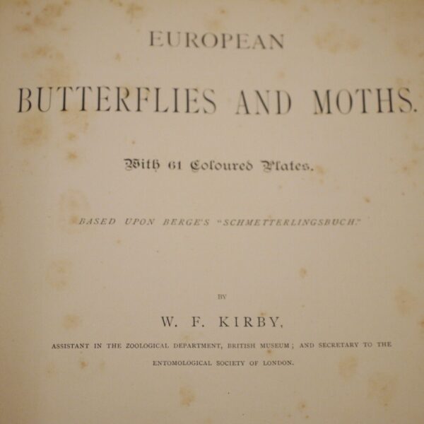 * Rare * European Butterflies and Moths By W.F. Kirby 1882  61 Cold Plates 1st - Image 8