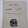* Rare * On Oceania's Shores Scenes in Maori Land in D/J Circa 1920's - Image 5