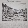 * Signed Copy * Under Wetherfell The Story of Hawes Parish & People 1st Ed 1980 - Image 9