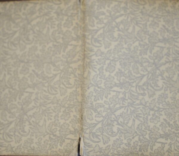 * Rare * Peeps Into Pepys Diary 1883 Published By William Nimmo Edinburgh - Image 4