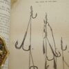 * Rare * The Fisherman's Magazine Two Volumes By Cholmondeley-Pennell  1864/1865 - Image 19