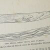 William Radcliffe Fishing From The Earliest Times 2nd Edition 1926 - Image 5