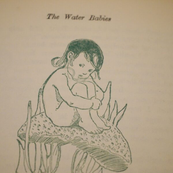 Charles Kingsley The Water Babies Illustrated By Jessie Wilcox Smith (ND) 1929 - Image 11