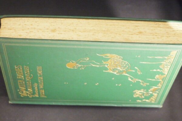 Charles Kingsley The Water Babies Illustrated By Jessie Wilcox Smith (ND) 1929 - Image 18