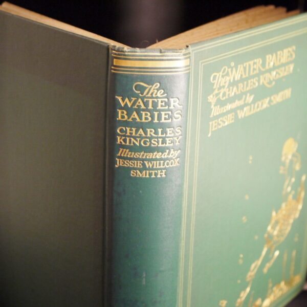 Charles Kingsley The Water Babies Illustrated By Jessie Wilcox Smith (ND) 1929 - Image 5