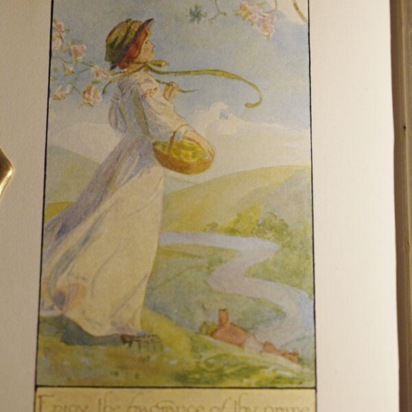 * Scarce * Margaret Tarrant The Book of Spring 1st Edition in D/J 1910 - Image 14