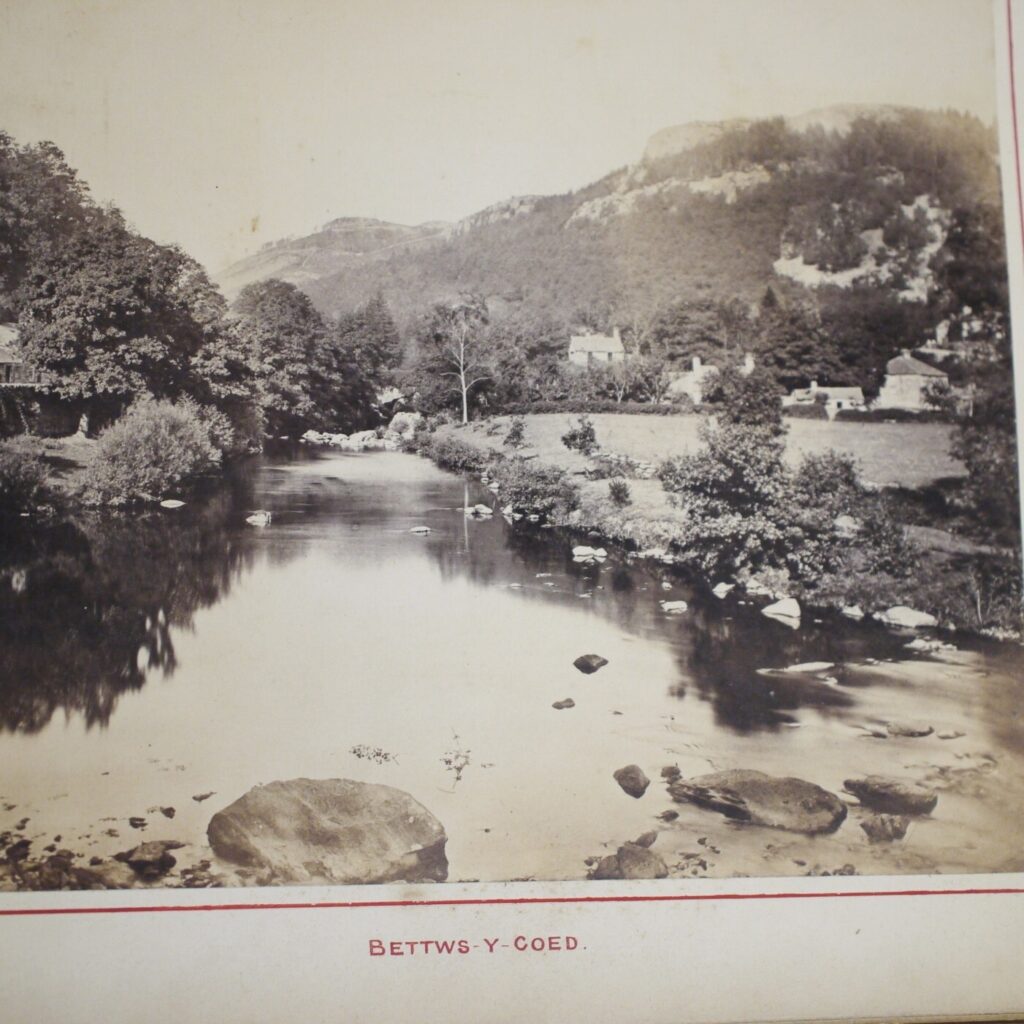 * Rare * Victorian Photo Album Sepia Tone Approx 116,Wales,Lakes,Swiss,Italy etc - Image 13