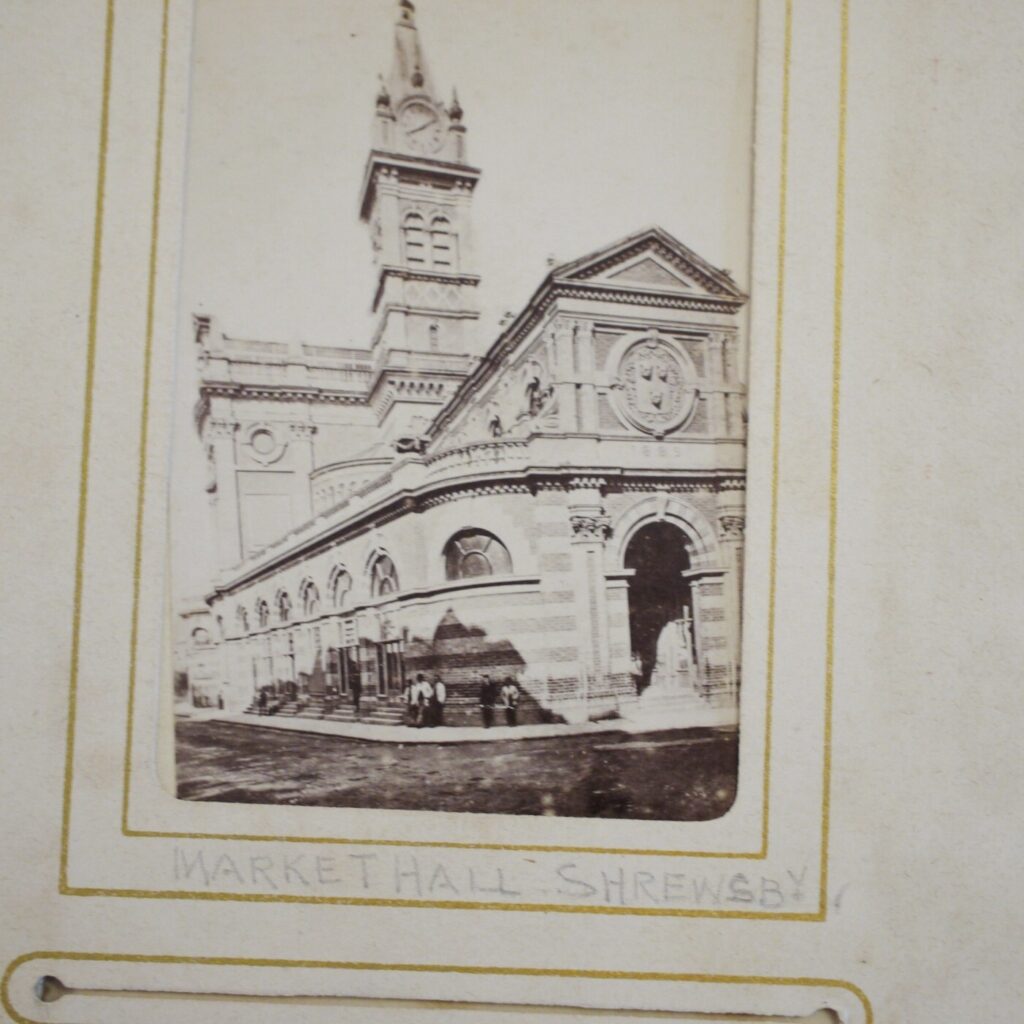 * Rare * Victorian Photo Album Sepia Tone Approx 116,Wales,Lakes,Swiss,Italy etc - Image 22