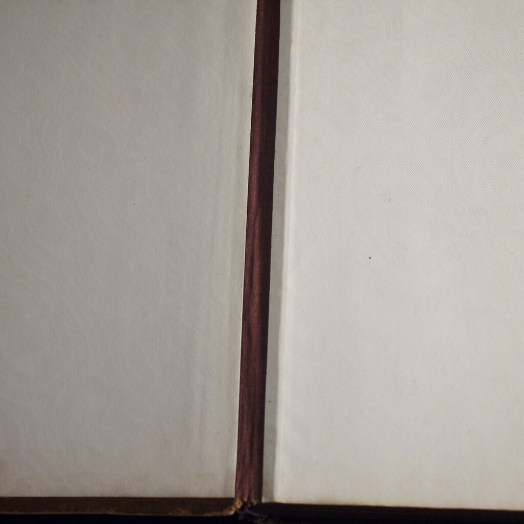 * Rare * Victorian Photo Album Sepia Tone Approx 116,Wales,Lakes,Swiss,Italy etc - Image 6