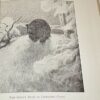 Selma Lagerlof The Story of Gosta Berling 1st UK Edition 1911 - Image 10