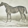 * Signed To Lady Lister Kaye * Frank Gray Griswold Sport on Land & Water 1917 - Image 11