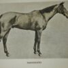 * Signed To Lady Lister Kaye * Frank Gray Griswold Sport on Land & Water 1917 - Image 9