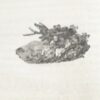* Rare * A Second Walk Through Wales By Rev Warner 1799 - Image 8