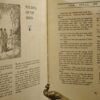** Rare ** Agnes Littlejohn Rainbow Dreams in Dust-Jacket 1919 - Image 6