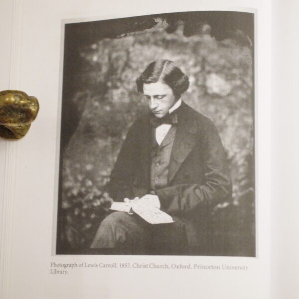 The Place of Lewis Carroll Children's Literature by Jan Susina 1st Edition 2010 - Image 5