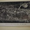 Eric Parker Game Birds,Beasts & Fishes Lonsdale Library 1st/1st 1943 - Image 6