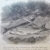 Isaac Walton & Charles Cotton The Complete Angler 2nd Edition 1860 - Image 15