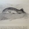 Isaac Walton & Charles Cotton The Complete Angler 2nd Edition 1860 - Image 19