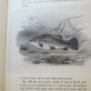 Isaac Walton & Charles Cotton The Complete Angler 2nd Edition 1860 - Image 21