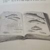 Isaac Walton & Charles Cotton The Complete Angler 2nd Edition 1860 - Image 24