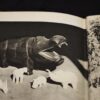 * Rare * The Gentle Savage by Richard Wyndham 1st Edition in D/J 1936 - Image 9