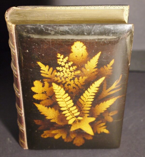 The Poetical Works of Sir Walter Scott Illustrated (Fernware Binding) 1872 - Image 14