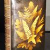 The Poetical Works of Sir Walter Scott Illustrated (Fernware Binding) 1872 - Image 3