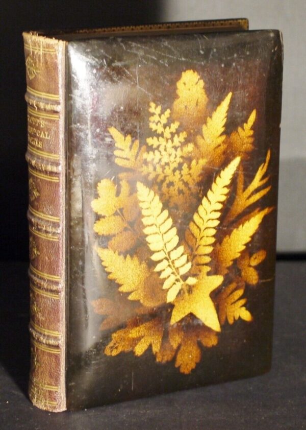 The Poetical Works of Sir Walter Scott Illustrated (Fernware Binding) 1872 - Image 3