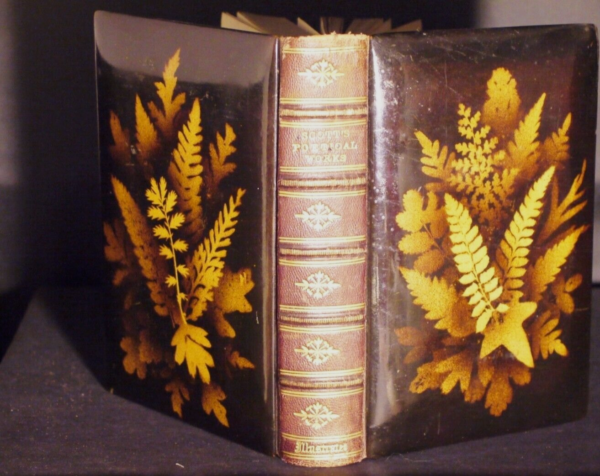 The Poetical Works of Sir Walter Scott Illustrated (Fernware Binding) 1872